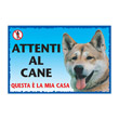 CARTELLO AKITA INU